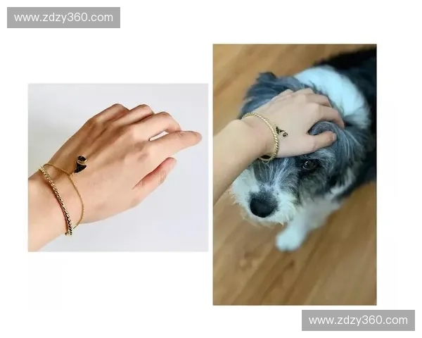 运动专用手绳提升运动表现和舒适感的多功能设计与使用技巧